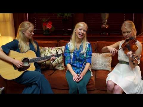 paddy's green shamrock shores 🎻🌿 acoustic