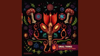 Steve Darko - Small Things (Original Mix) video