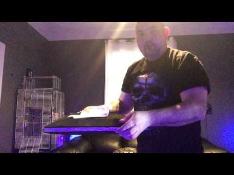 Elvis the magic man dove magic