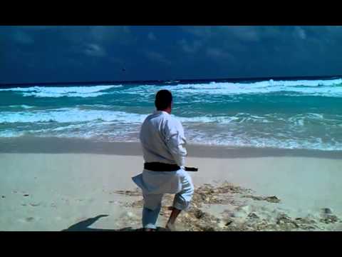 Shotokan karate katas performing by Shihan Vencislav Nedev and Sensei Dejan Nedev