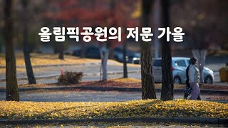 奥林匹克公园的晚秋