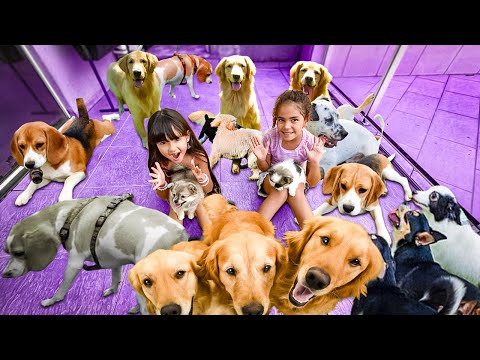 MINHA AMIGA ISIS TEM MAIS DE 30 CACHORROS NA CASA DELA !