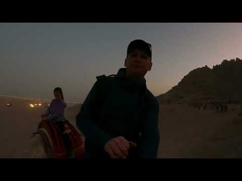 Desert Camel Riding - Sinai Desert - Sharm el Sheikh - Egypt -2025 @ameliaroseadventures