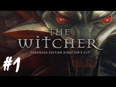 The Witcher - Part 1