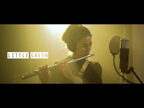 Down Under ~ Men At Work ✨flute loop acoustic cover ✨