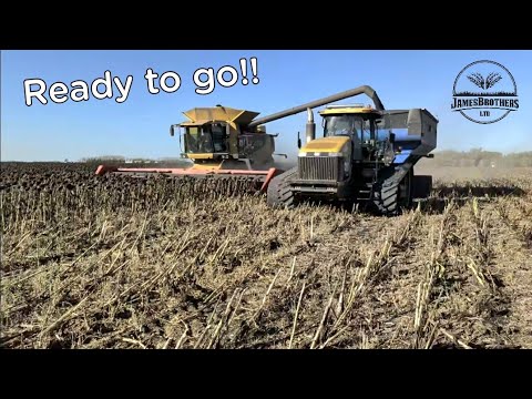 The combines worked hard, now they need some work! 