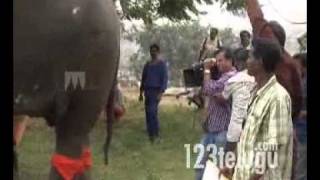 Shakthi Movie Making -123telugu - Jr. NTR, Ileana, Pooja Bedi, Jackie Shroff and Sonu Sood