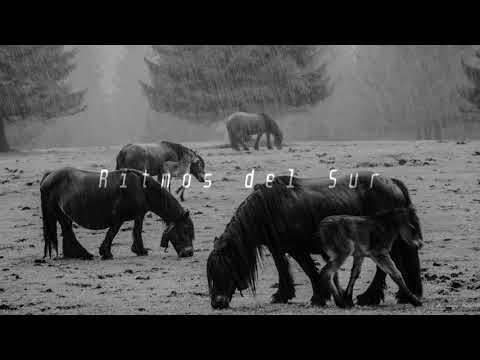 🐎 Salvaje Libertad |Mix| by Derrok (Audio en 3D)