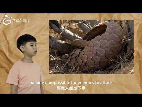 國小中年級英文組 潛力獎-2025六福永續獎: 最佳人氣影片