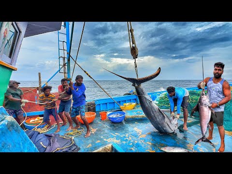 Amazing! The Ninth Day We Stayed In The Deep Sea And Caught A Lot Of Big Fishes | Day-09 | S07-EP09
