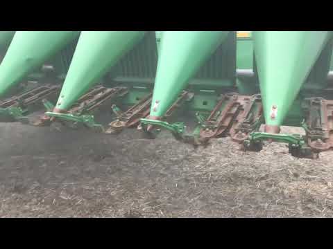 Chad Spellman 1293 Cornhead