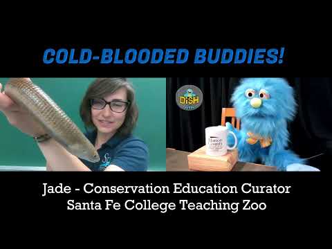 Extreme STEAM Team - Cold-Blooded Buddies!