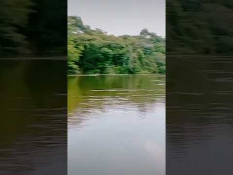 Este es el majestuoso río portuguesa, ubicado en el baúl municipio Girardot Edo Cojedes.