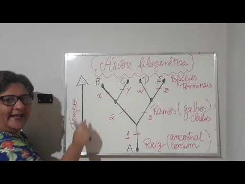 Aula n°42- O parentesco das espécies