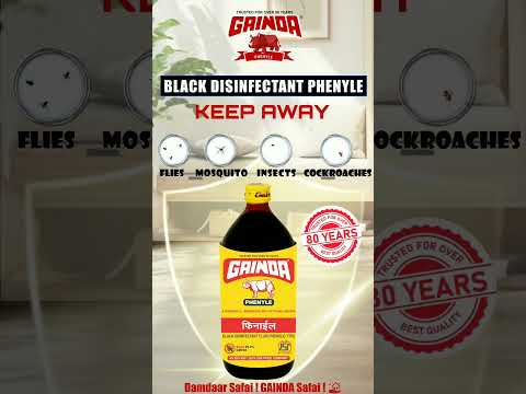 Liquid gainda black disinfectant fluid phenyl, floor, can