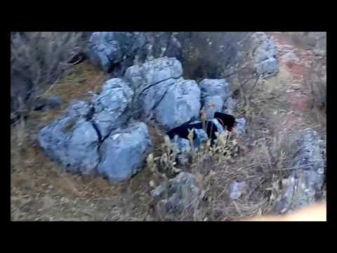 HAMMER - KIMBO - ALFA IN PARTTRIDGE