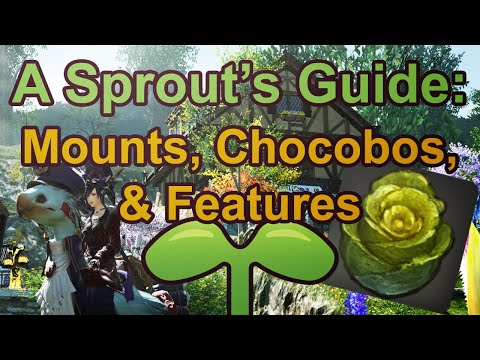 A Sprout's Guide: Mounts & Chocobos