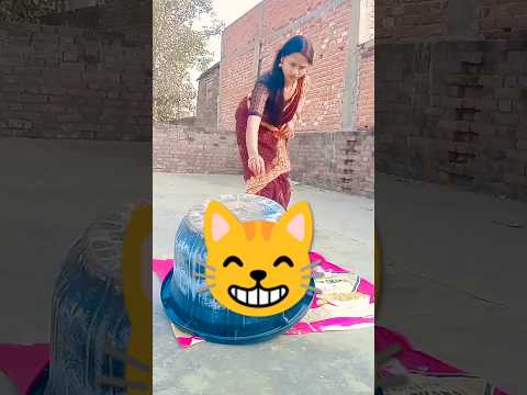 Mau Mau // billi // billi ki awaaz#cat#funny #sound #billi #billi voice billi voice