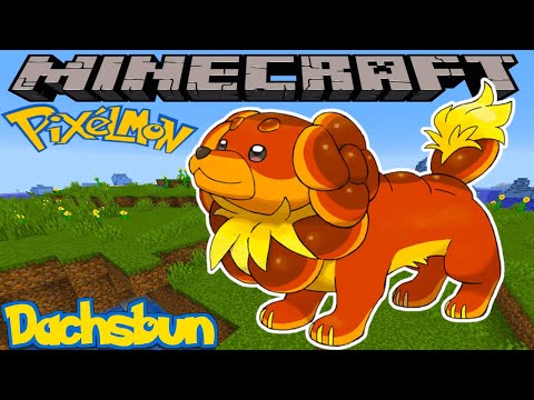 HOW TO FIND DACHSBUN IN PIXELMON REFORGED - MINECRAFT GUIDE - VERSION 9.1.11