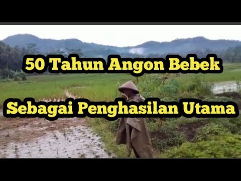 Meski sudah tua tapi tetap bertahan sebagai pengangon bebek || perjuangan hidup