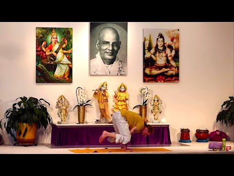 Yogastunde Mittelstufe Yoga Vidya Grundreihe: Im Gleichgewicht mit Mahindra 16:15 Uhr 14.07.2020