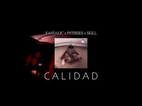 PANTERX93 X VANDALIC X SKILL - CALIDAD