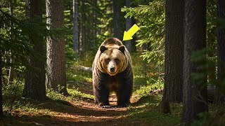 Grizzly Bear Sees Her Rescuer After 8 Years – Her Reaction Will Leave You Speechless!
