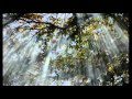 J. S. Bach - Cantata "Wie schön leuchtet der ...