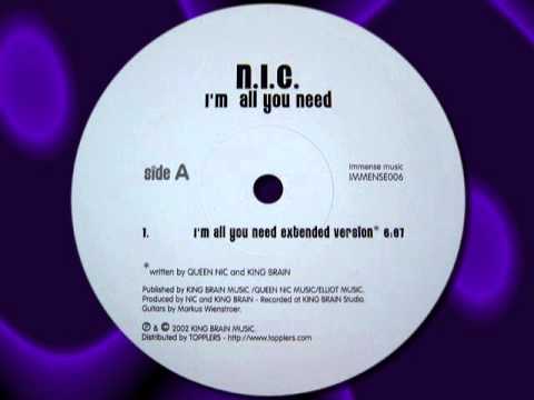 N.I.C.  " I'm All You Need "  12"