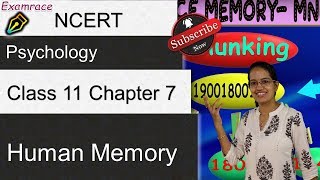 NCERT Class 11 Psychology: Chapter 7 - Human Memory | English | CBSE