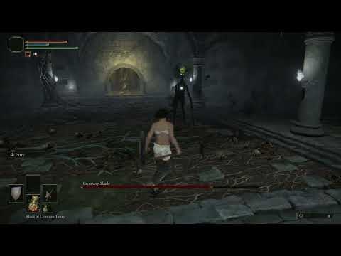 Elden Ring LVL 1 Cemetery Shade Boss Fight - Parry Only