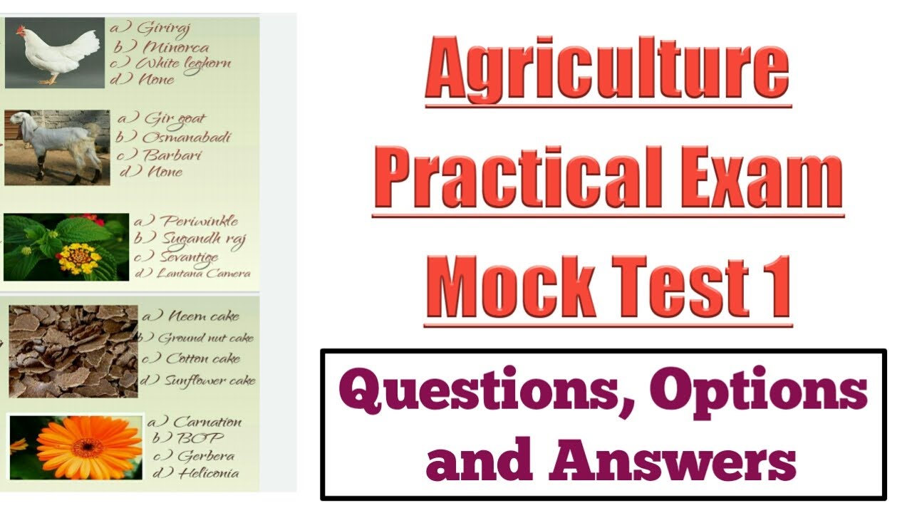 Agri Mock Test 1 | Agriculture Practical Exam Mock Test | Agri Practical Specimen Identification