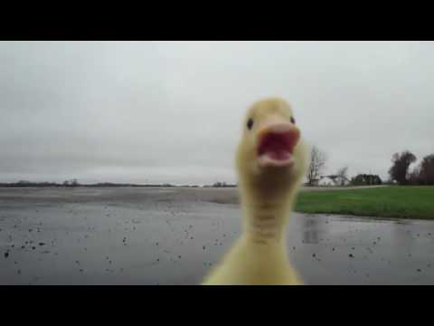 ANDA A LA CONCHA DE TU MADRE