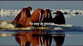 I Am The Walrus - The Beatles (Subtitulada)