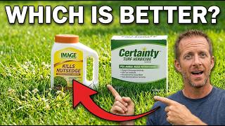 Stop Wasting Money on Wrong Herbicides | Poa Annua Test