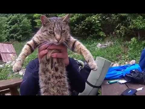 TRIPs - Hrebeňovka Malá Fatra