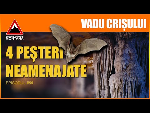 Circuitul Pesterilor de la Vadu Crisului + BELVEDERE (Episodul 55) DISTRACTIE SI EDUCATIE MONTANA
