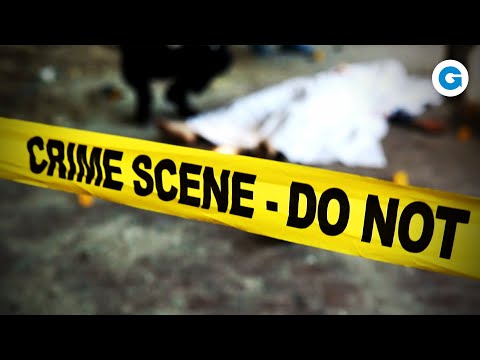 Cracking Crime: A Journey through Criminology and Forensics | Full Documentary