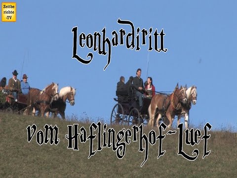 Leonhardiritt  Haflingerhof Luef