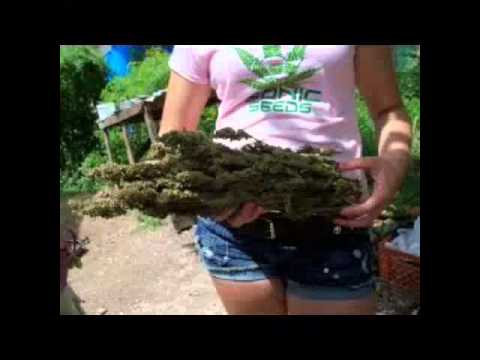 Feecha Nxt & Bob Marley - Feelin High [Produced By Steven Gemini] May 2015 - @DjGarrikz