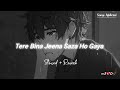 Tere Bina Jeena Saza Ho Gaya Slowed Reverb Tej Gill Rooh Tere Bina Jeena Songs Addicted