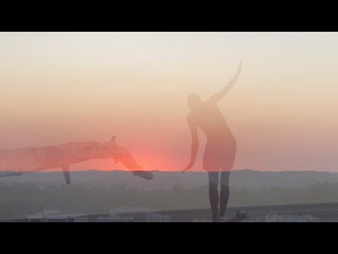 kalivas - stolen mantra