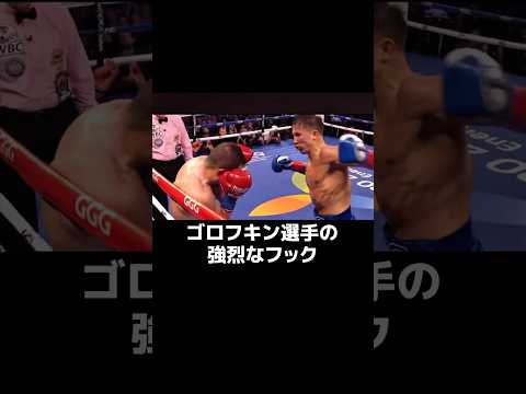 ゴロフキンのフックを解説 #ボクシング #格闘技 #犬塚音也 #名古屋