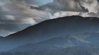 Radio Citizen - Serene (OFFICIAL VIDEO)