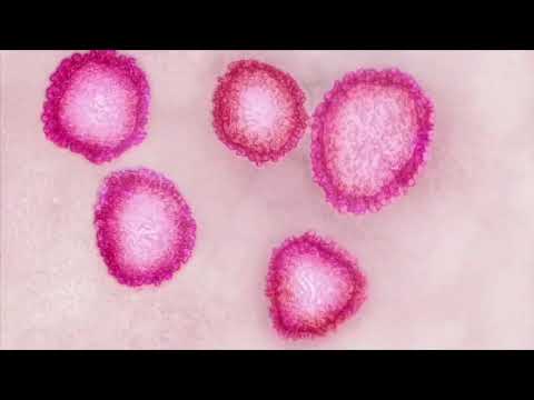 Potential COVID-19 treatment approved by FDA now on hold