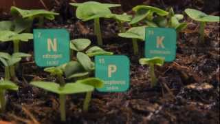 Phosphate Mining Video - Middle & High School