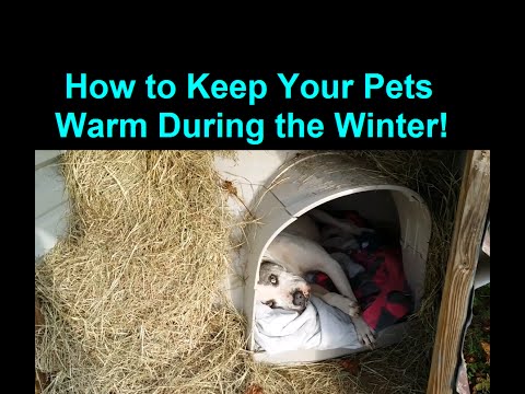 YouTube video about: How to keep dog warm in garage in winter?