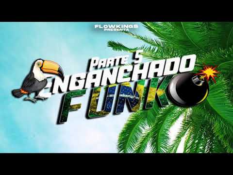 ENGANCHADO FUNK 5 🇧🇷🔥|PERREO BRASILEÑO|🍑[FLOW KINGS 2021]