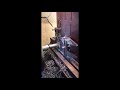Přehrát video