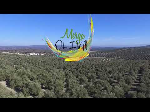 Presentación - Mergaoliva Balsamic Orange 500 ml